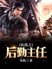 天狼极夜：雷纹觉醒